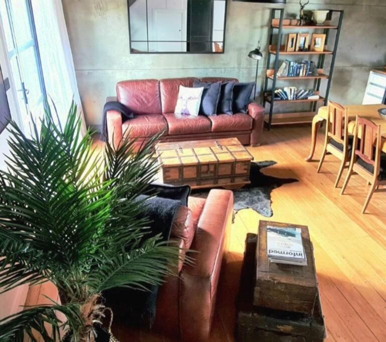 Apartment 3 - Haddin Court - Industrial Glam Blenheim Dış mekan fotoğraf